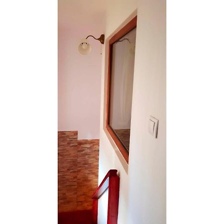 Vaso Apartament ซินายา ภายนอก รูปภาพ