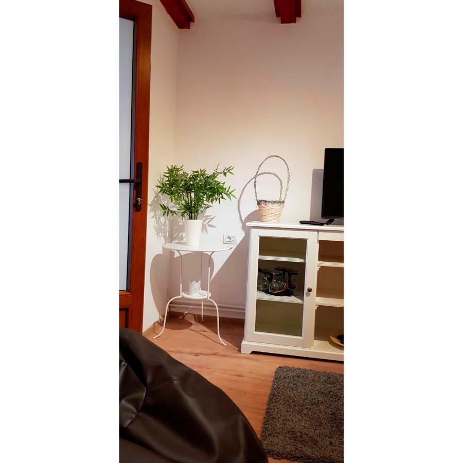 Vaso Apartament ซินายา ภายนอก รูปภาพ